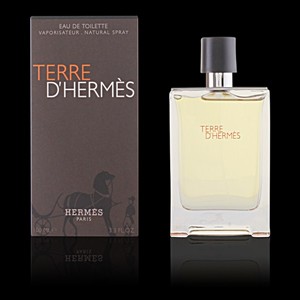Imagen de TERRE D'HERMES eau de toilette vaporizador 100 ml
